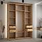 Schrank 45 Canaris 1 190 artisan/schwarz/silver,3