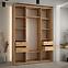 Schrank 45 Canaris 1 190 schwarz/artisan/silver,3
