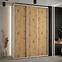 Schrank 45 Canaris 1 200 weiß/artisan/silver,5