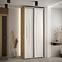 Schrank 45 Canaris 12 100 artisan/weiß/silver,4