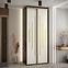 Schrank 45 Canaris 12 100 schwarz/weiß/gold,4