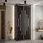 Schrank 45 Canaris 12 120 schwarz/silver,5