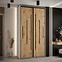 Schrank 45 Canaris 12 130 weiß/artisan/schwarz,5