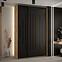 Schrank 45 Canaris 12 150 artisan/schwarz/schwarz,4