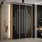 Schrank 45 Canaris 12 160 artisan/schwarz/silver,5