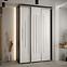 Schrank 45 Canaris 12 160 schwarz/weiß/silver,5