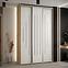 Schrank 45 Canaris 12 180 artisan/weiß/silver,5