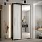 Schrank 45 Canaris 13 130 schwarz/weiß/silver,5