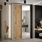 Schrank 45 Canaris 13 140 weiß/artisan/silver,5