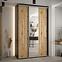 Schrank 45 Canaris 13 150 schwarz/artisan/silver,4