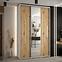 Schrank 45 Canaris 13 180 weiß/artisan/silver,5
