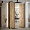 Schrank 45 Canaris 13 180 schwarz/artisan/silver,5