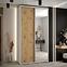 Schrank 45 Canaris 3 120 weiß/artisan/silver,5