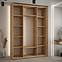 Schrank 45 Canaris 3 160 artisan/schwarz/silver,4