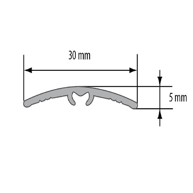Übergangsprofil LW 30 5W1 1,86 C-32 champagner