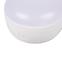 Lampe CALIZA 37390 LED CCT W,10