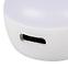 Lampe CALIZA 37390 LED CCT W,9