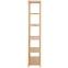 Regal bamboo ,3
