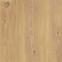 Terrassenpflaster Nedre beige 59,5x59,5/2,0