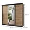 Schrank Vena 250 Eiche Craft Golden + Eiche Craft Golden,2