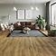 Laminatboden Eiche Argos 8mm AC5 Elite WR 64777,5
