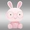 45TC LAMPA KRÁLIČÍ 6949 PINK 2.5W LB1
