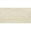 03PX TREMER BEIGE REKT. MAT. 59.8X119.8