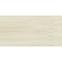 03PX TREMER BEIGE REKT. MAT. 59.8X119.8,4