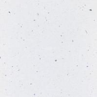 Eckküchenarbeitsplatte 90r/38mm white andromeda