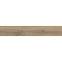 Scalwood Brown 19.8/119.8 RECT GPT1105,5