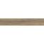 Scalwood Brown 19.8/119.8 RECT GPT1105,6