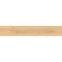 Oceanwood (GPT1116) Warm Beige 19.8/119.8,6