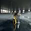 Pumpe STANLEY SXUP750XCE,4