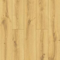 Laminatboden Eiche Bergen 8mm AC4 PROMO 50584