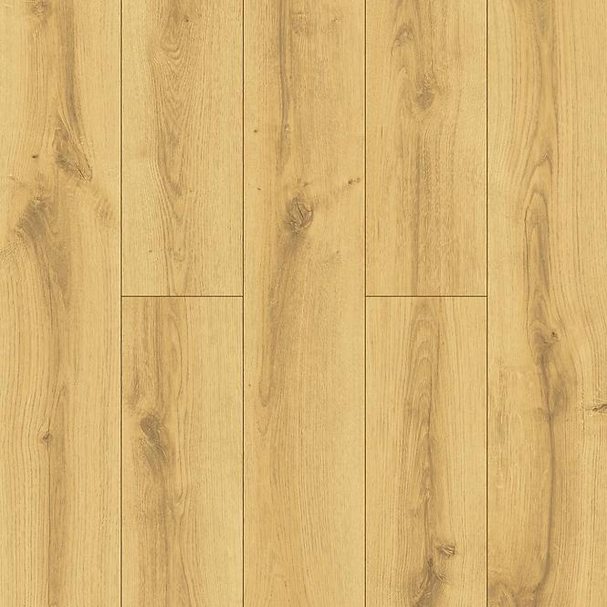Laminatboden Eiche Bergen 8mm AC4 PROMO 50584