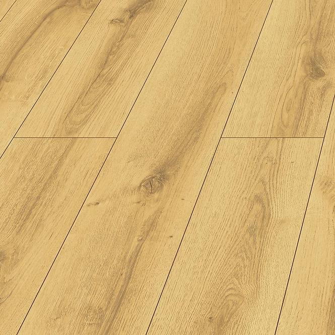 Laminatboden Eiche Bergen 8mm AC4 PROMO 50584