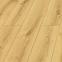 Laminatboden Eiche Bergen 8mm AC4 PROMO 50584,2