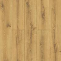 Laminatboden Eiche Bergamo 8 mm AC5 Promo 50534