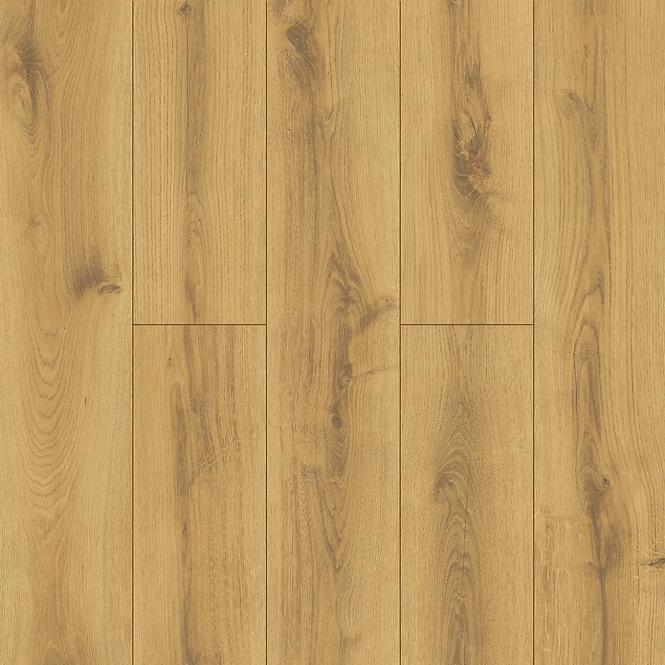 Laminatboden Eiche Bergamo 8 mm AC5 Promo 50534