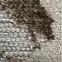 Teppich Piar 1,33/1,9 54263 160 Creme,4