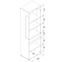 Vitrine Lionel Li06 eiche sonoma/weiß,3
