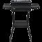 Elektrogrill 2200W 67424,11