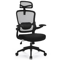 Drehstuhl Ergo Basic LV0652