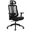 Drehstuhl Ergo Essential LV0653