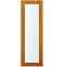 Seitenlicht zur Eingangstür Eiche Gold 40x198 klares Glas