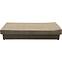 Couch Adam 2 P Curio 20