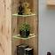 Vitrine Catalina DVC CT WSW Eiche Wiking/Kaschmir,5