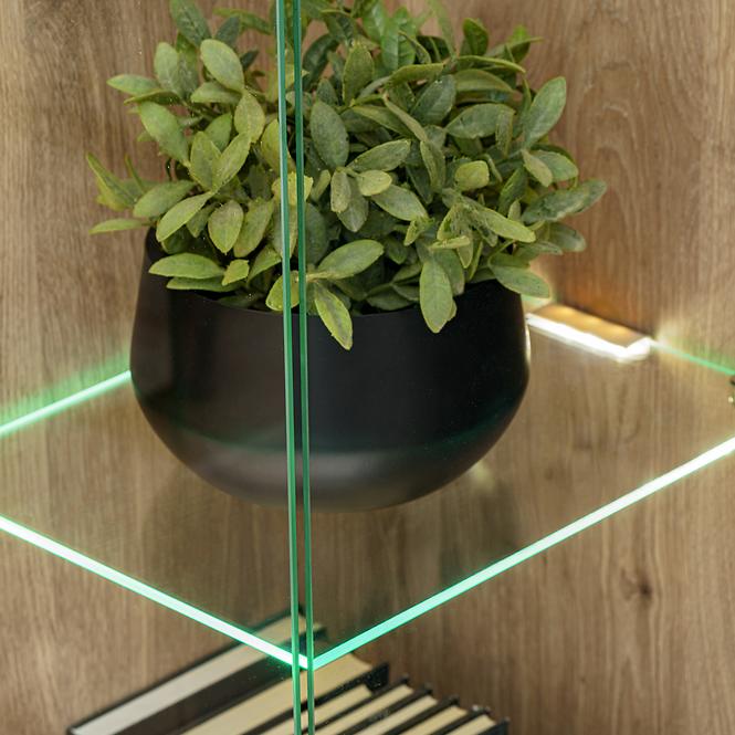 Vitrine Catalina DVC CT WSW Eiche Wiking/Kaschmir