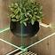 Vitrine Catalina DVC CT WSW Eiche Wiking/Kaschmir,6
