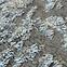 Teppich Palermo 1,4/1,9 8698a Creme/Hellgrau,7